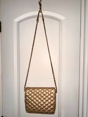 Gold Chain Shoulder/Cross Body Bag